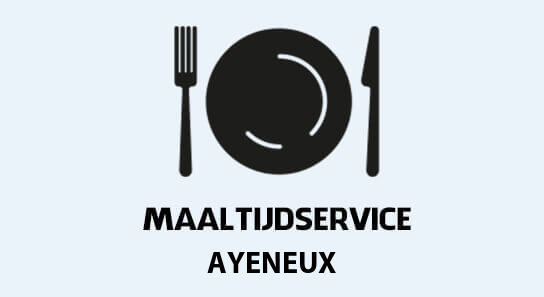 bereidde maaltijden aan huis in ayeneux